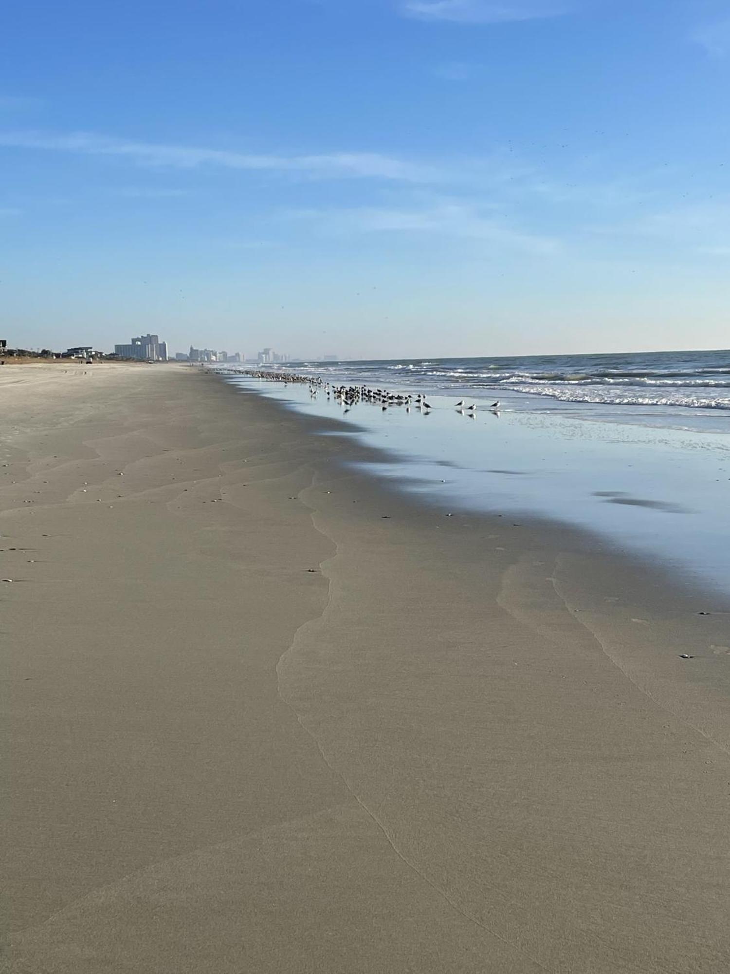 Blue Palmetto Vacation Rentals Myrtle Beach Dış mekan fotoğraf