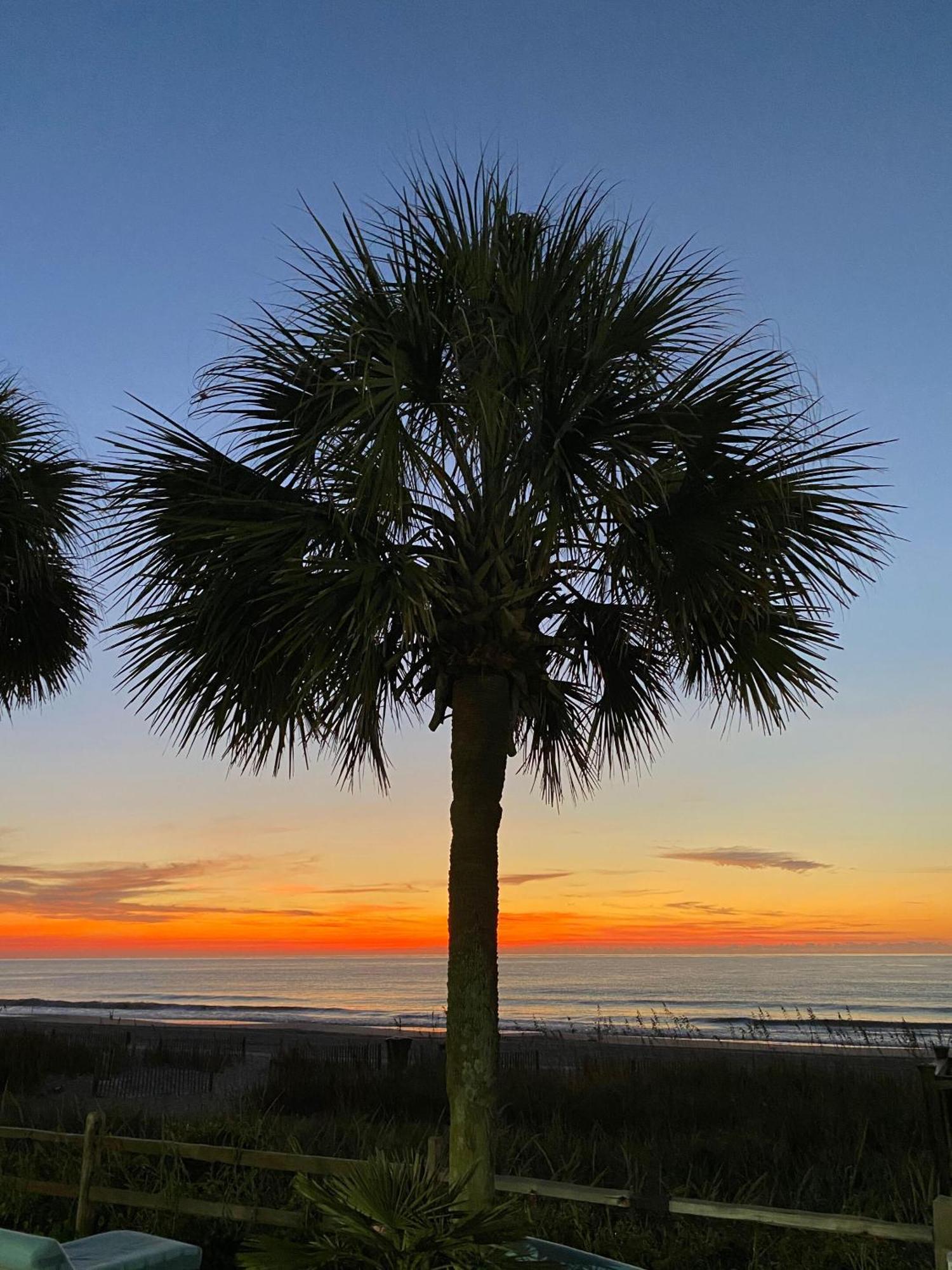 Blue Palmetto Vacation Rentals Myrtle Beach Dış mekan fotoğraf